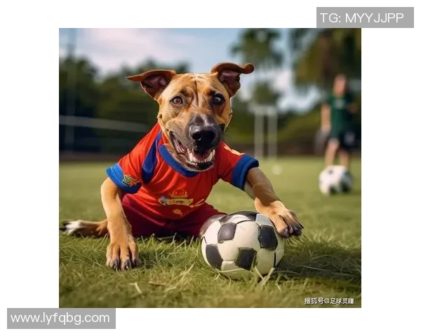 足球明星与爱犬亲密互动的温馨瞬间分享